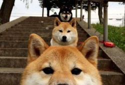 周五心情：感悟生活的点滴时光