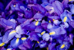 中小企业建站全攻略：从规划到上线的实用指南