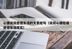 心情说说感悟生活的文章短句（说说心情短语感悟生活现实）