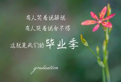 宇哥建站技术全解析：从零开始搭建属于你的网站