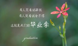 福州专业网站关键词SEO优化服务公司