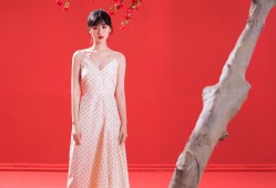 沈阳360建站技术支持服务