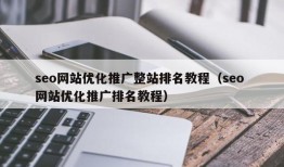 seo网站优化推广整站排名教程（seo 网站优化推广排名教程）