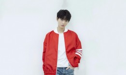 矮向日葵的网络日记