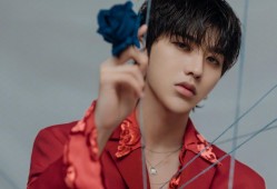 天津网站建设技术支持服务