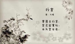 如何高效查找SEO相关的新闻资讯