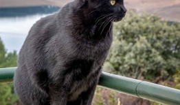 网站策划与营销推广的完美结合