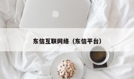 东信互联网络（东信平台）