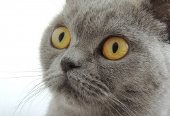 腾云建站技术支持服务