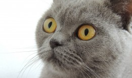 营销推广型网站高效建站流程指南