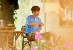 龙井建站技术解析与应用