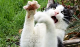 通城互联网络违规公司曝光