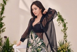 建站技术的常见英语缩写是什么