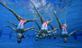 服装网站SEO优化团队的高效运营策略