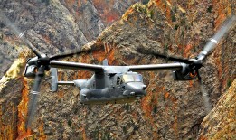 科学网络日志精选美文集