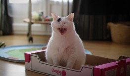 企业品牌网站推广与营销策略