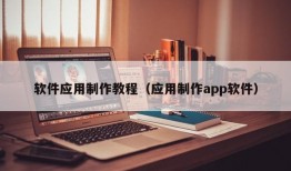 软件应用制作教程（应用制作app软件）