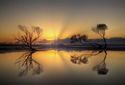 伟达互联网络科技工作室：创新科技服务引领未来连接