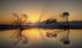 网络日志采集的定义与作用解析