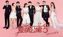 尚义建站技术解析与应用指南