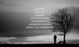 静待心情，感悟生活的点滴真谛