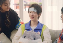 新手建站避坑全攻略：从零开始搭建网站的实用技巧