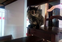 西安中易互联网络有限公司简介