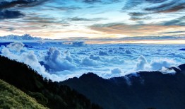 是否需要为互联网络服务缴纳印花税