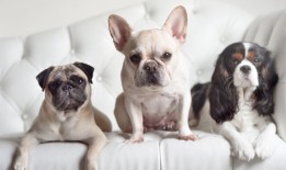 武汉环宇互联网络有限公司简介