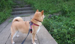 最想分享的心情感悟：生活中的点滴与思考