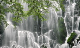 SEO网站外链优化技巧与策略