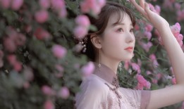 南丹建站技术解析与应用