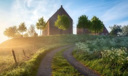 大坪网站推广与营销策略解析