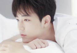 技术建站，低成本实现高效网站搭建