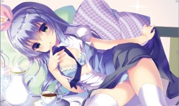 毕节专业SEO优化公司助力网站提升排名与流量