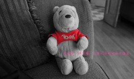 橙子建站技术支持服务