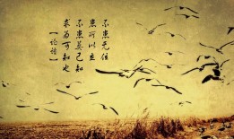 互联网络营销实战培训