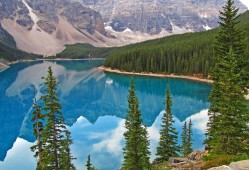 外贸建站技术全解析：打造高效国际营销网站的实用指南