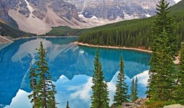 智能互联网络技术解析与应用