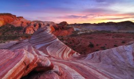 努力前行，感悟生活的真谛