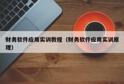 财务软件应用实训教程（财务软件应用实训原理）