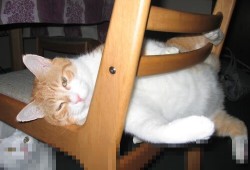 郑州企业网站搭建技术解析