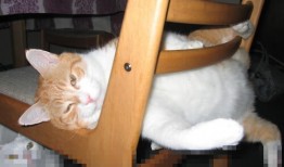 郑州企业网站搭建技术解析