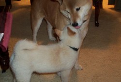 探索建站领域的前沿技术与创新应用