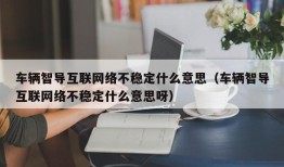 车辆智导互联网络不稳定什么意思（车辆智导互联网络不稳定什么意思呀）