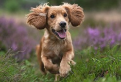 如何使用云服务器搭建网站的完整指南