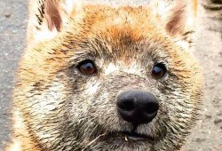 互联网络时代的特点与影响