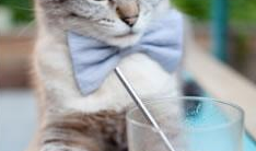 外贸网站搭建从零开始：新手必备的建站全攻略