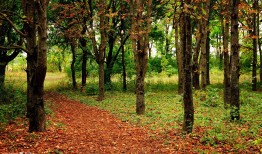 手机网站SEO优化技巧与方法