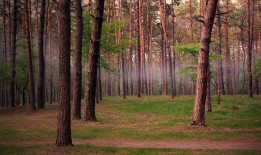 邓州网站SEO优化提升效果全解析